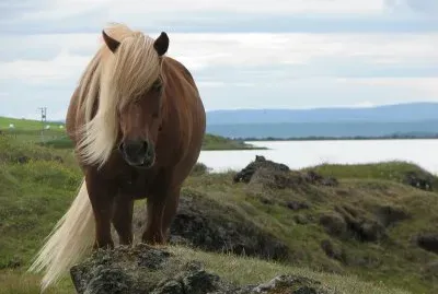 Iceland