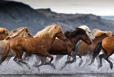 Iceland