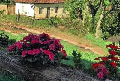 Camino real jigsaw puzzle