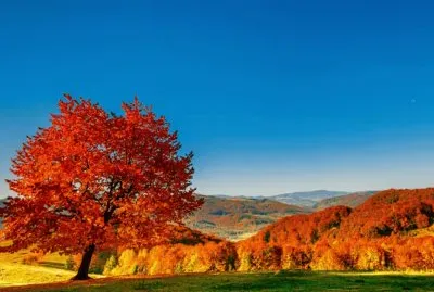 paisagem