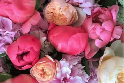 flores