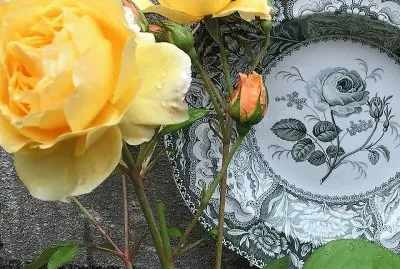 flores