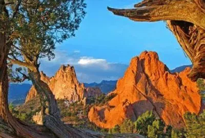 NATUREZA jigsaw puzzle
