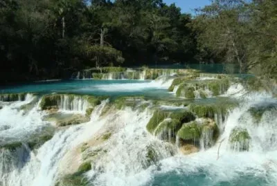 Naranjo jigsaw puzzle