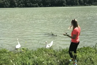 lake
