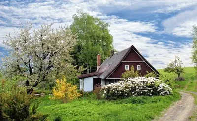 naturaleza jigsaw puzzle
