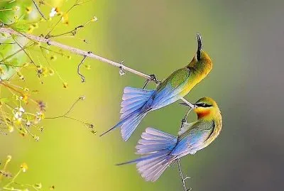 natural