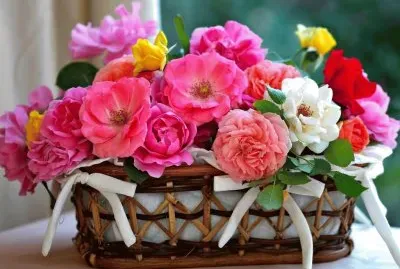 Flowers