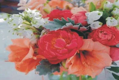 Flowers