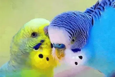natural