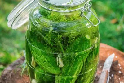 Cucumber   Fresh Dill Pickles