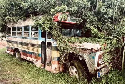 Autobus1