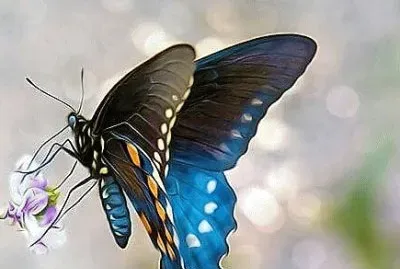 פאזל של natural