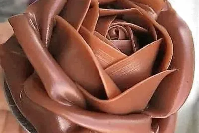 delicias jigsaw puzzle