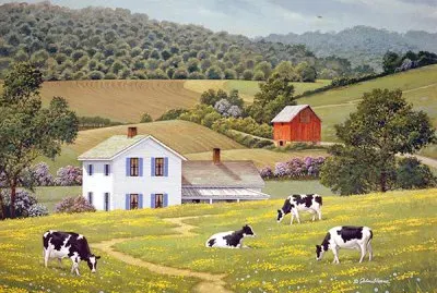 637 jigsaw puzzle