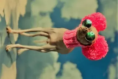 estilo jigsaw puzzle