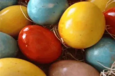 å½©è‰²ç”Ÿæ´»