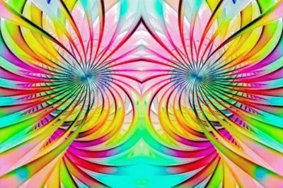 å°ç¨±èŠ±æ¼¾
