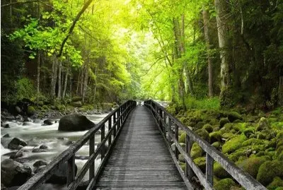 פאזל של naturaleza