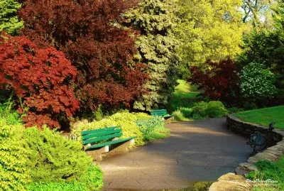 naturaleza