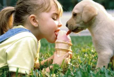 HELADO