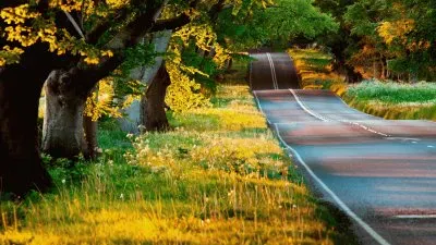 naturaleza jigsaw puzzle