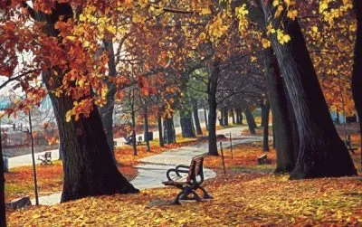naturaleza
