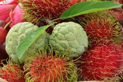 פאזל של fruta do conde