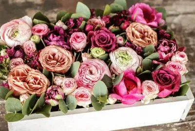 flores