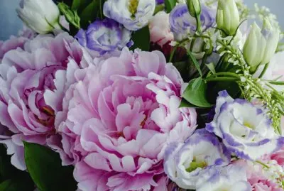 flores