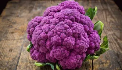 Purple Cauliflower