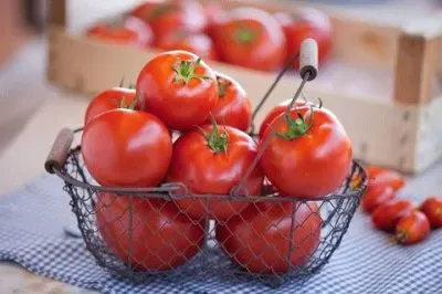 Tomato