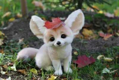 Kawai Fox