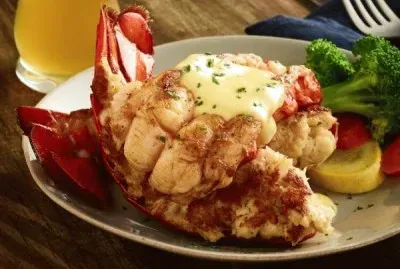 Lobster