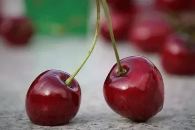 פאזל של Imagem