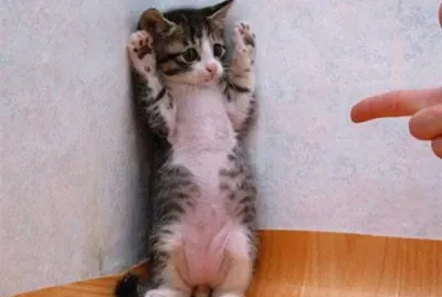 å·¥ä½œæ™‚