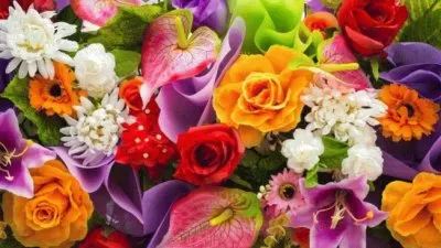 פאזל של Flores