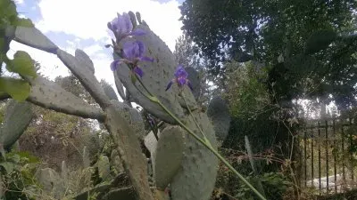 פאזל של Migdal Haemq