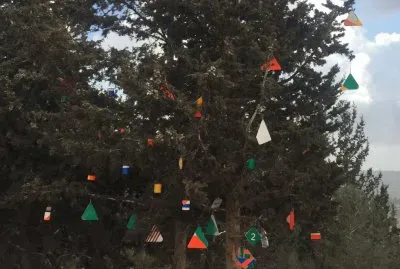 The with tree, Mt. Gilon