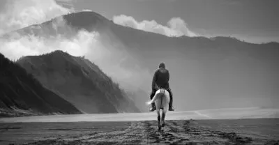 Black and White jigsaw puzzle