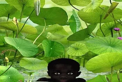 vida