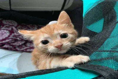 â™¥