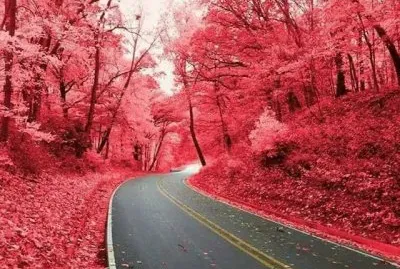 פאזל של imagem