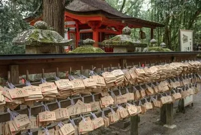 Imagem jigsaw puzzle