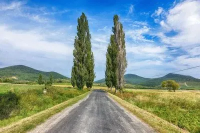 Imagem jigsaw puzzle