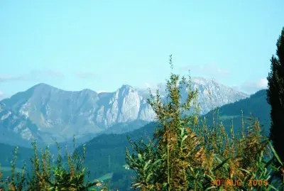 10 jigsaw puzzle