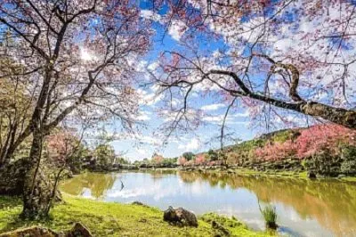 Imagem jigsaw puzzle