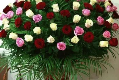 arbol florido