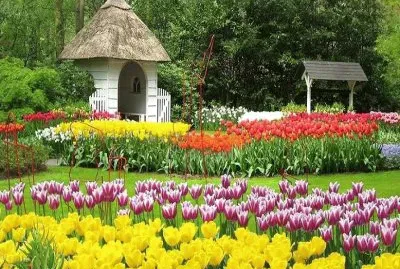 jardÃ­n