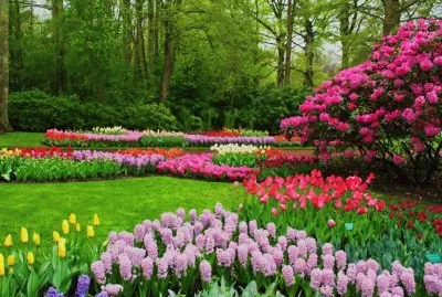 jardÃ­n